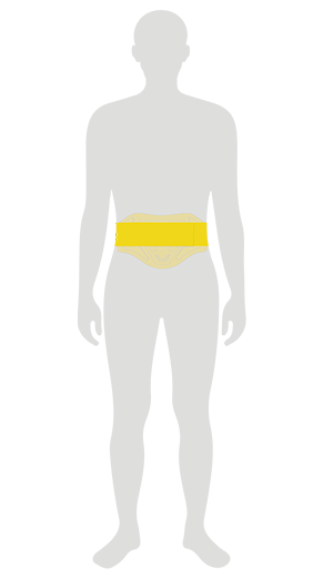 LS2 KOKU KIDNEY BELT PROTECTOR